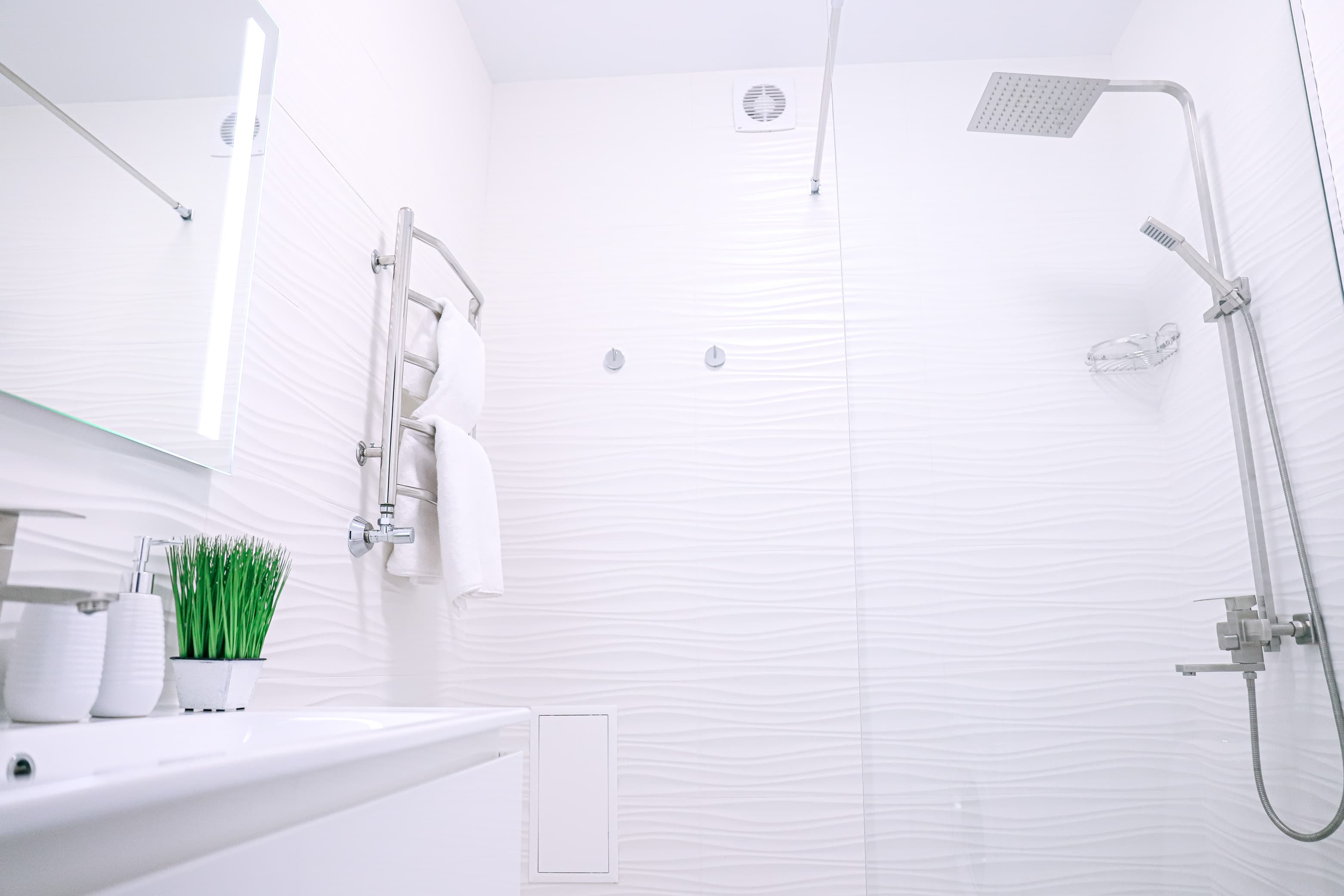 Bathroom (extra view)